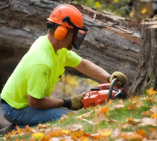 tree services Wanchese